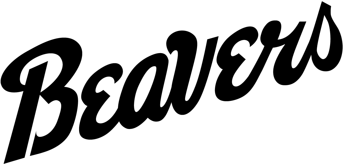 Bemidji State Beavers 2004-Pres Wordmark Logo v2 iron on transfers for fabric